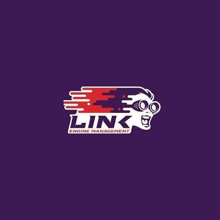 LINK ECU