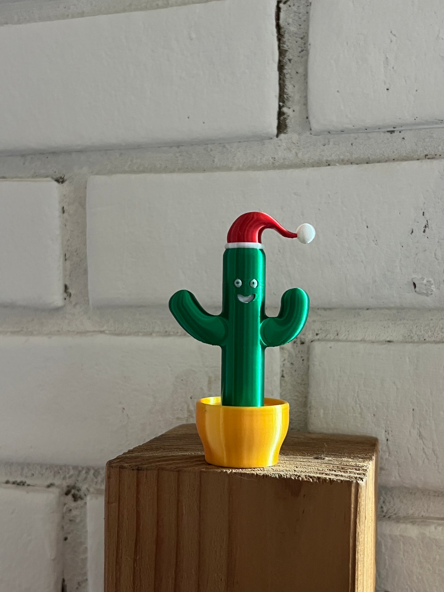 The Crazy Christmas Cactus